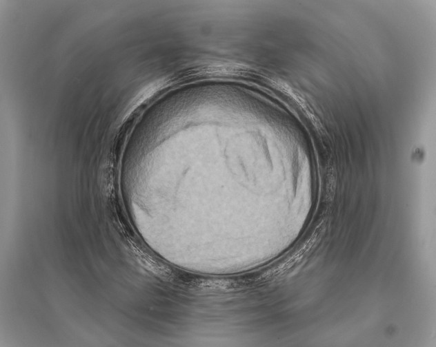 X0000094901211200712201126