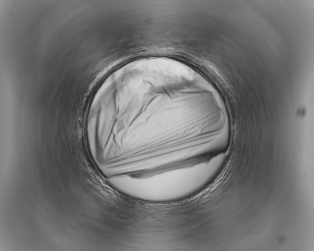 X0000094901212200712201126