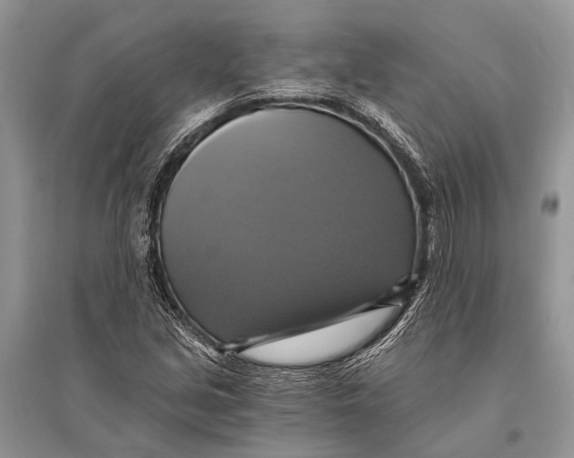 X0000094901213200712201126