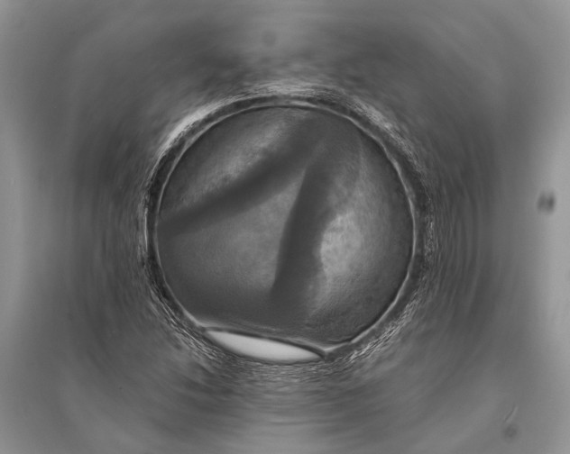 X0000094901214200712201126