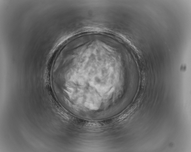 X0000094901215200712201126