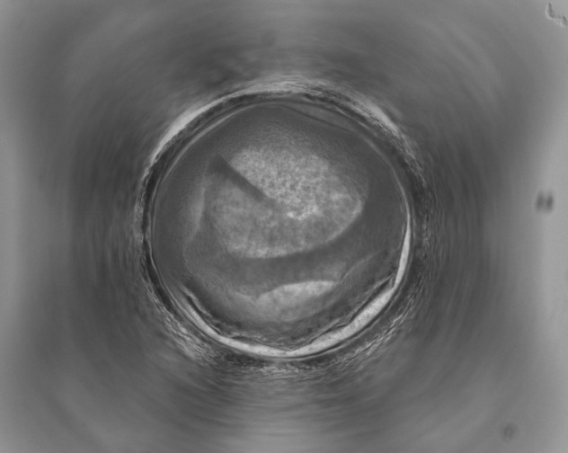 X0000094901216200712201127