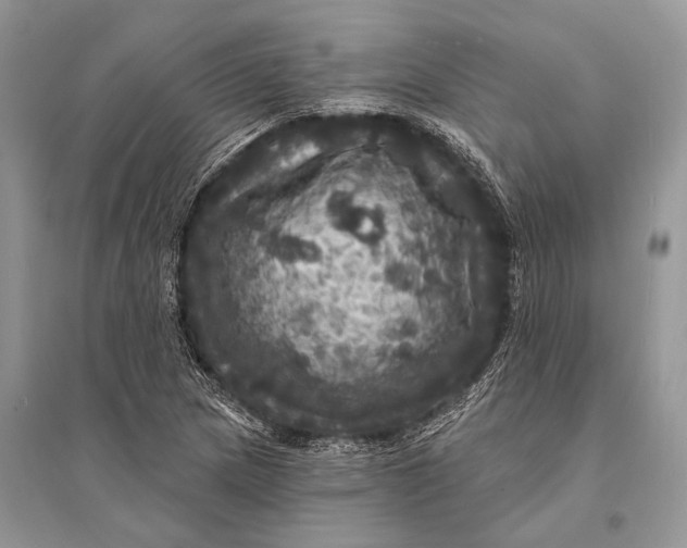 X0000094901217200712201127