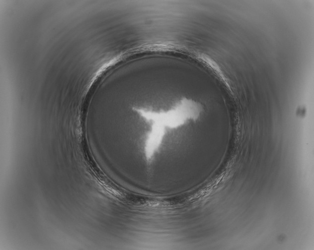 X0000094901218200712201127