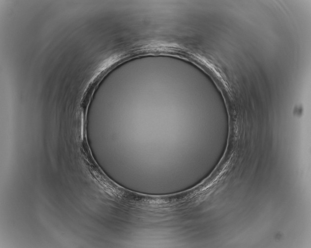 X0000094901219200712201127