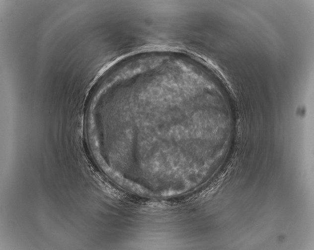 X0000094901220200712201127