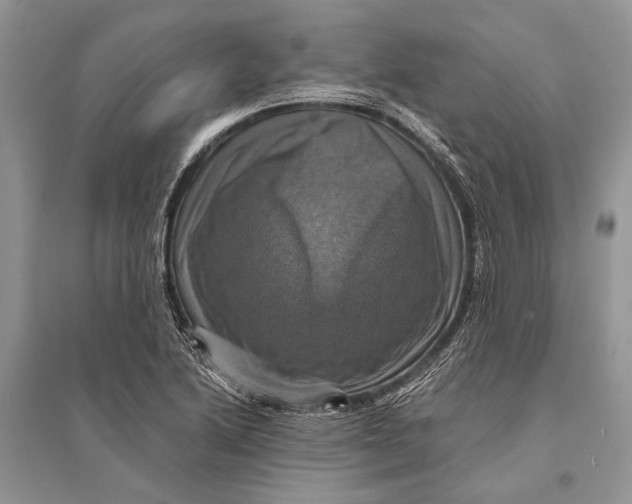 X0000094901222200712201127