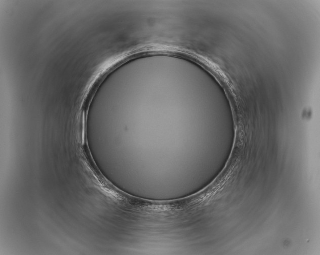 X0000094901223200712201127