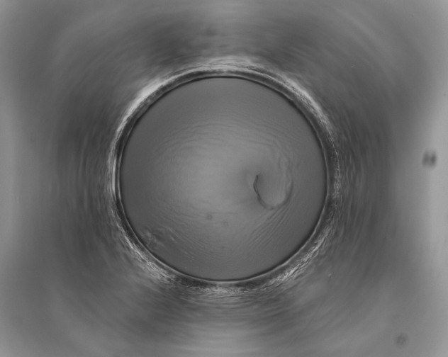 X0000094901224200712201127