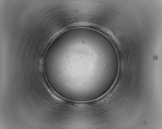 X0000094901225200712201127