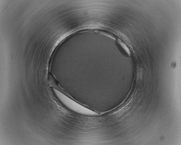 X0000094901226200712201127