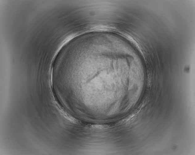 X0000094901227200712201127