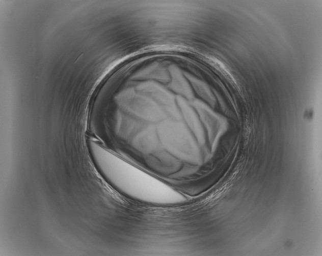 X0000094901228200712201127