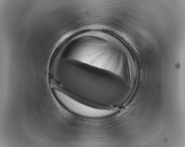 X0000094901229200712201127