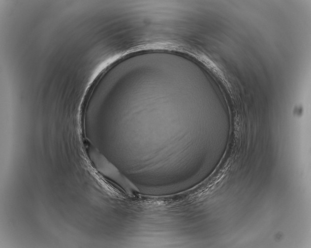 X0000094901230200712201127