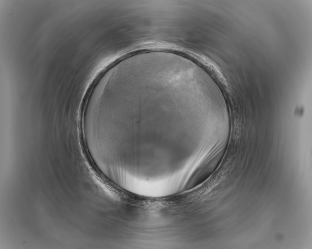 X0000094901231200712201127