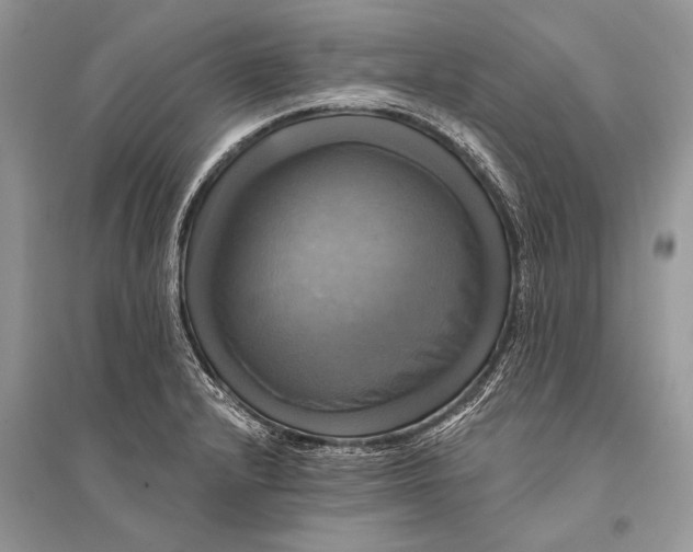 X0000094901232200712201127