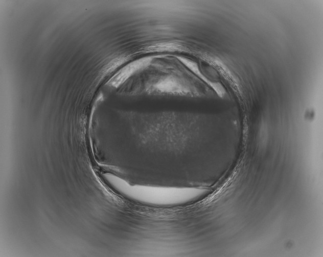 X0000094901233200712201127