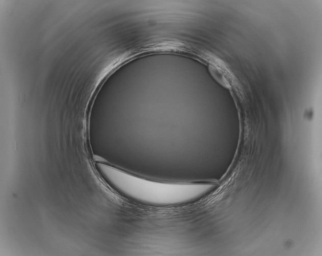 X0000094901234200712201127