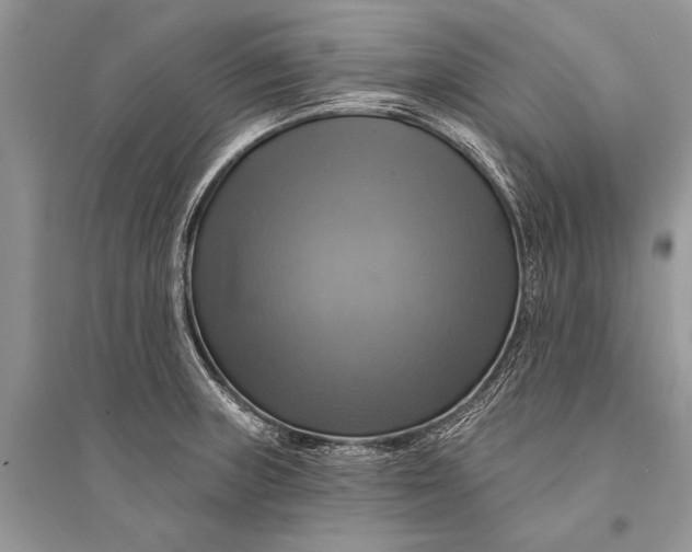 X0000094901235200712201127