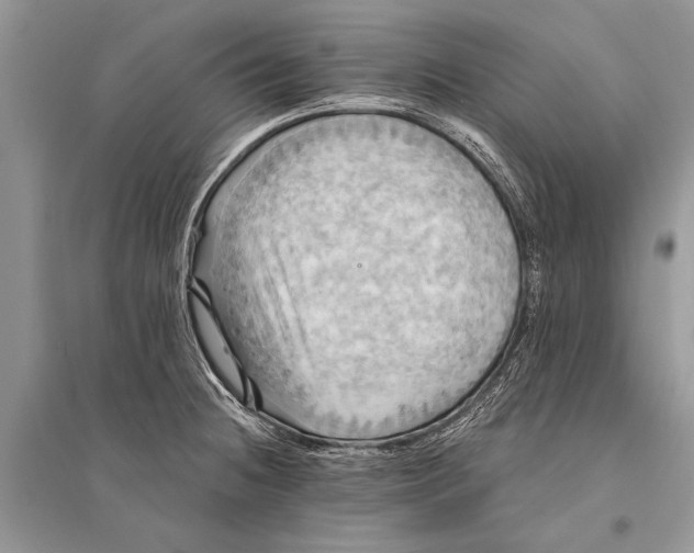 X0000094901236200712201127