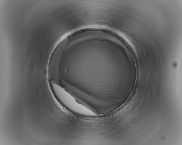 X0000094901237200712201127