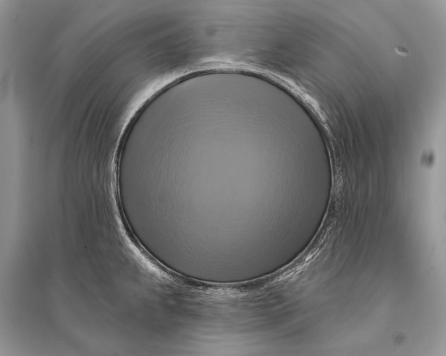 X0000094901239200712201127