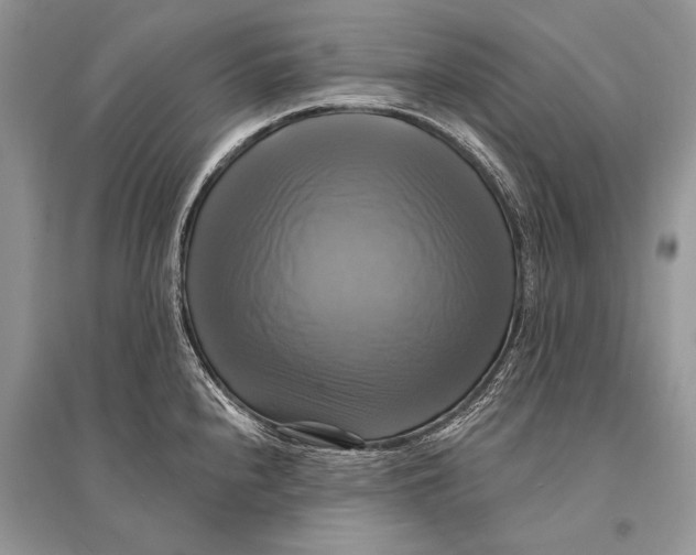 X0000094901240200712201127