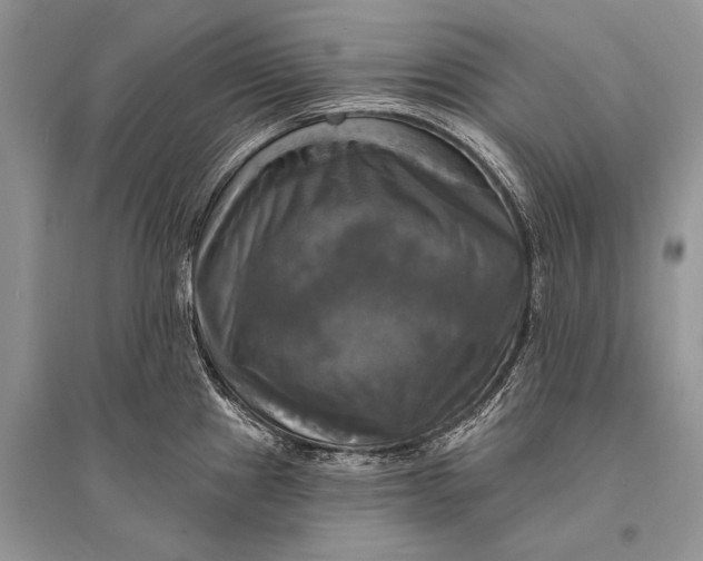 X0000094901241200712201127