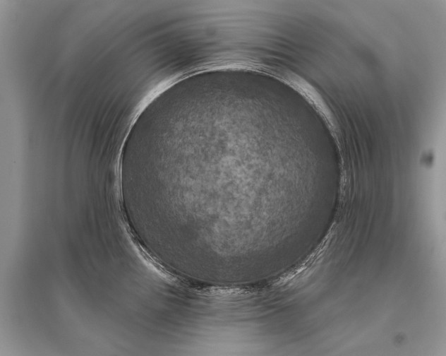 X0000094901242200712201127