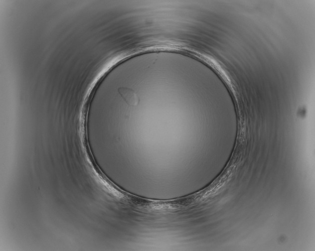 X0000094901243200712201127