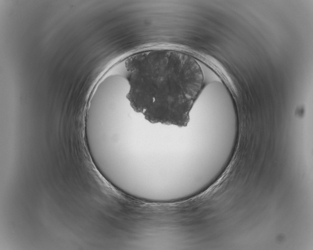 X0000094901244200712201127