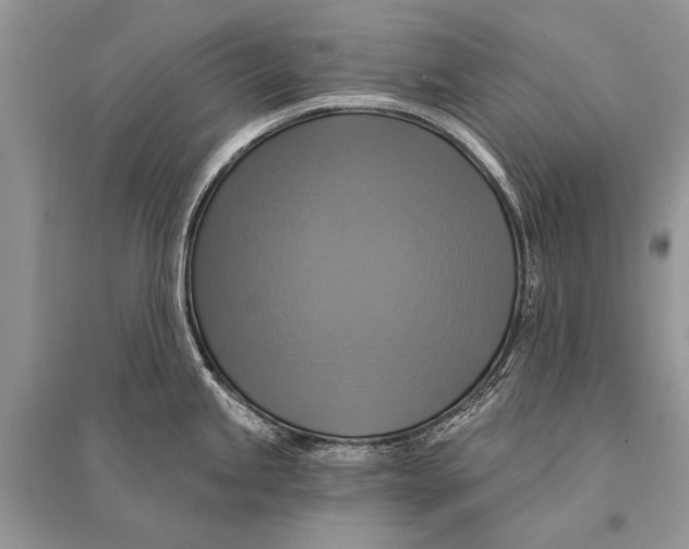 X0000094901245200712201127