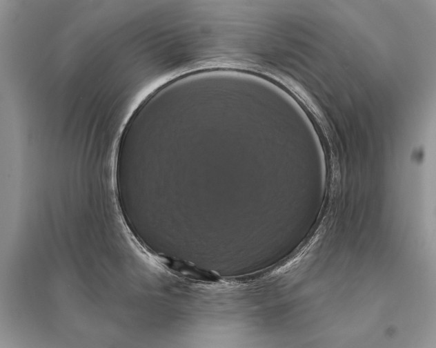 X0000094901246200712201127