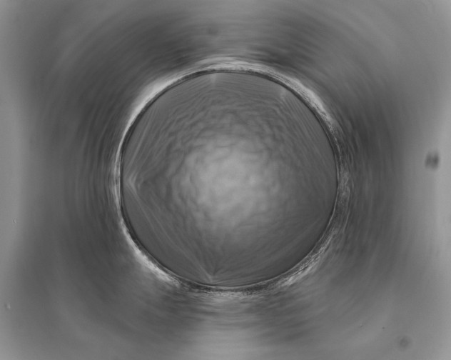 X0000094901247200712201127