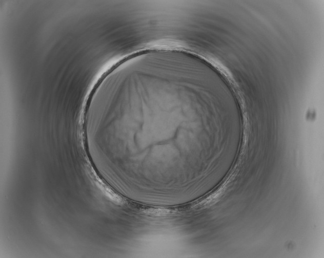 X0000094901248200712201127