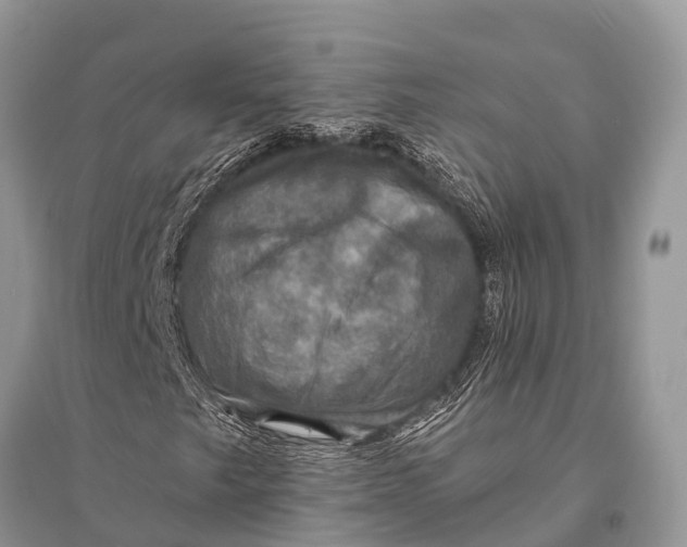 X0000094901249200712201126