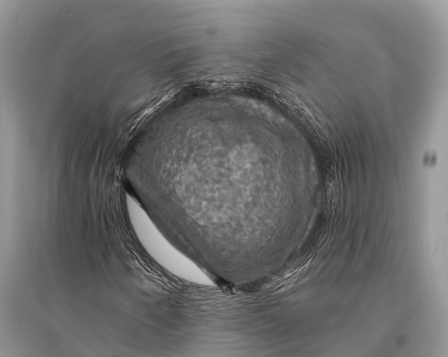 X0000094901250200712201126