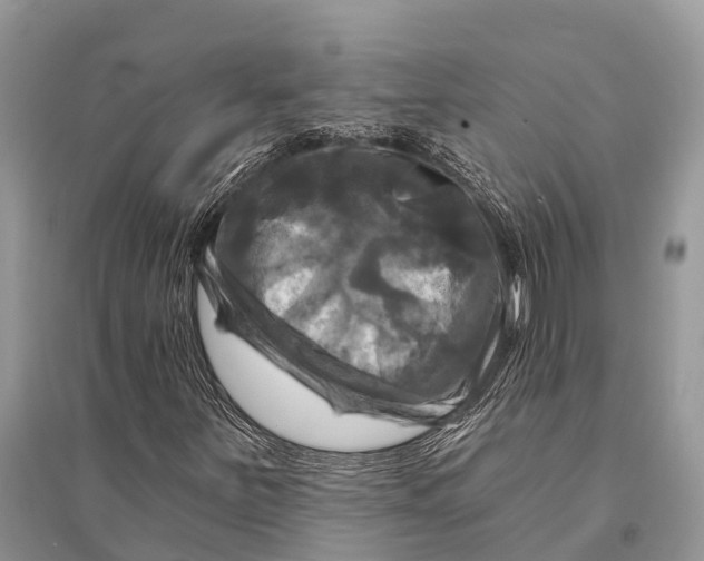 X0000094901251200712201126