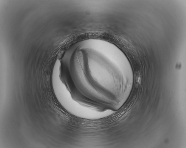 X0000094901252200712201126