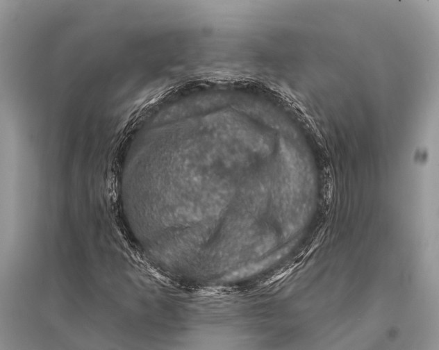 X0000094901253200712201126