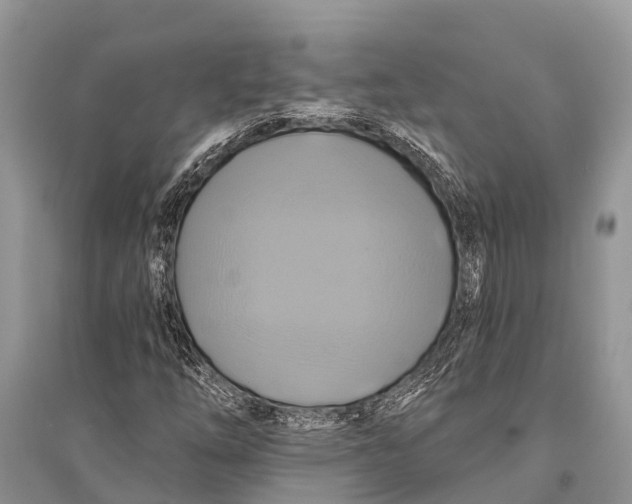 X0000094901254200712201126