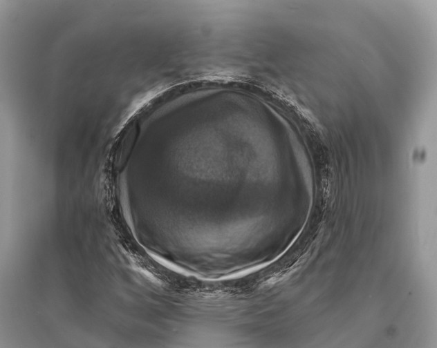 X0000094901256200712201126