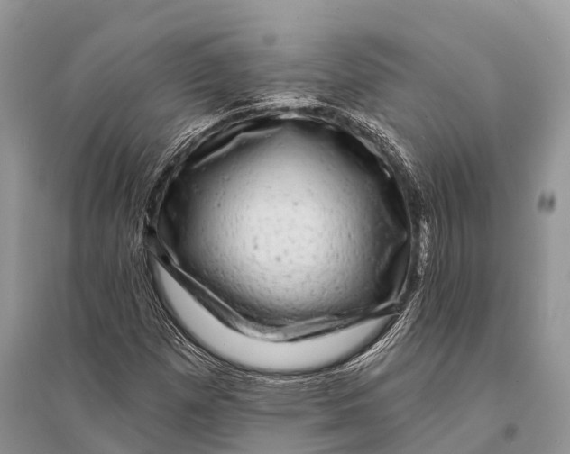 X0000094901257200712201126