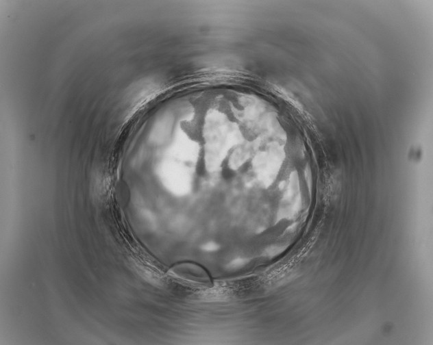 X0000094901259200712201126