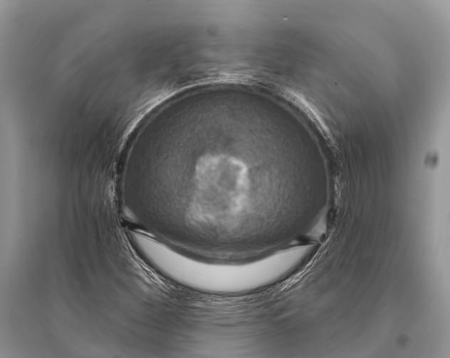 X0000094901260200712201126