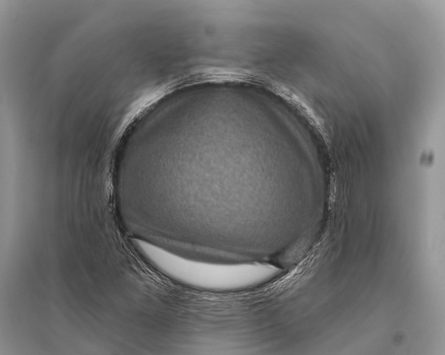 X0000094901261200712201126