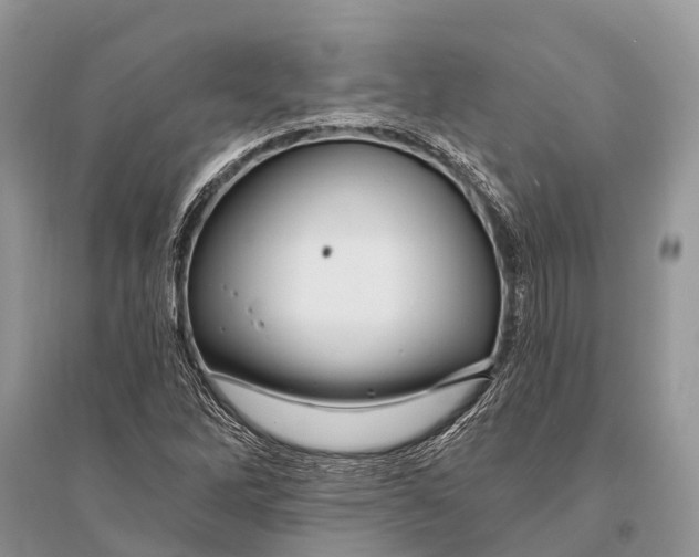 X0000094901262200712201126