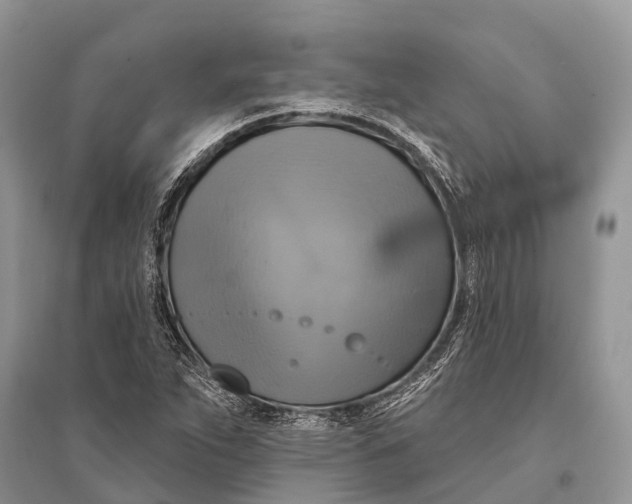 X0000094901263200712201126