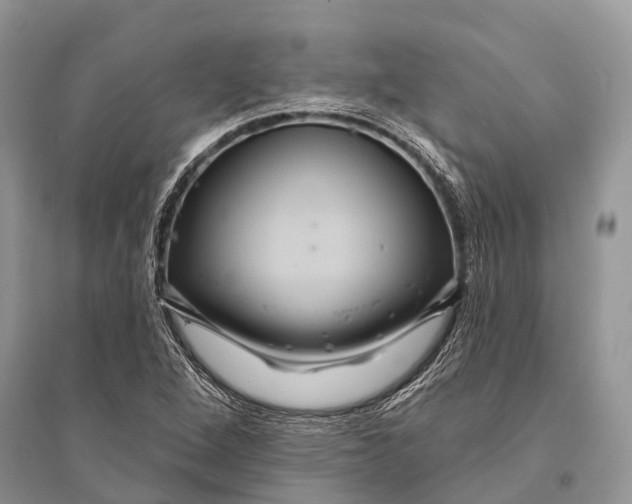 X0000094901264200712201126